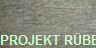 PROJEKT RBE